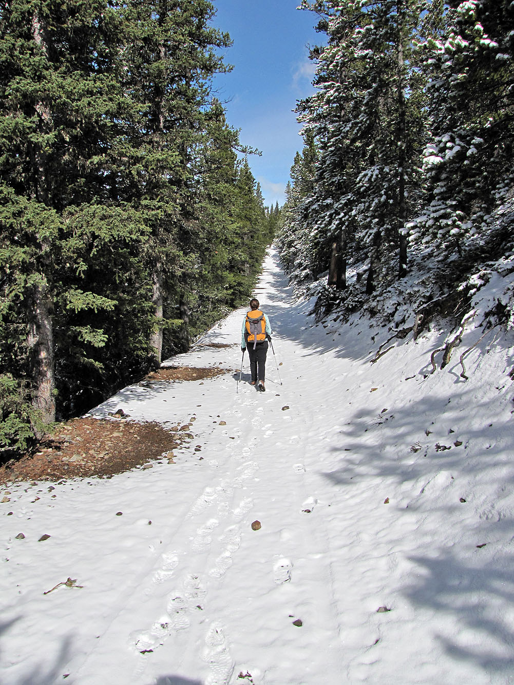 Moose Creek Loop  Kananaskis Trails