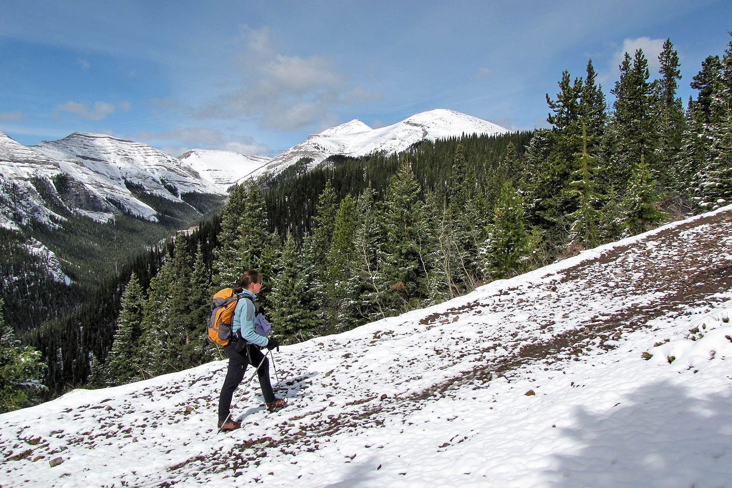 Moose Creek Loop  Kananaskis Trails