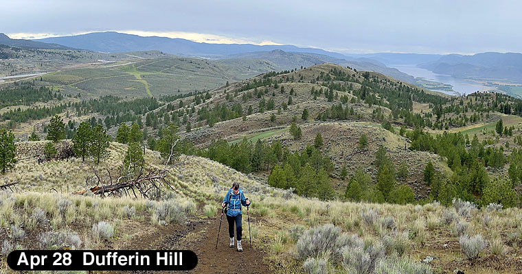 Dufferin Hill