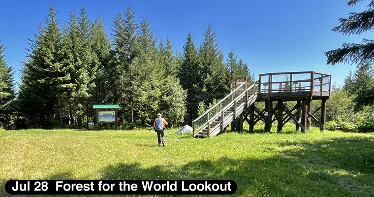 Forest for the World Lookout