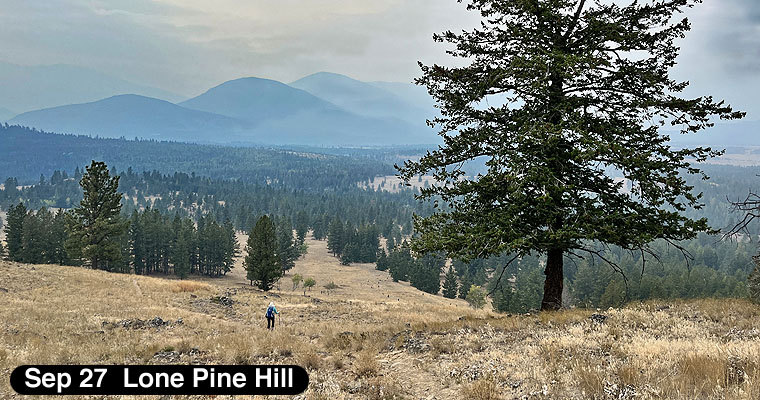 Lone Pine Hill