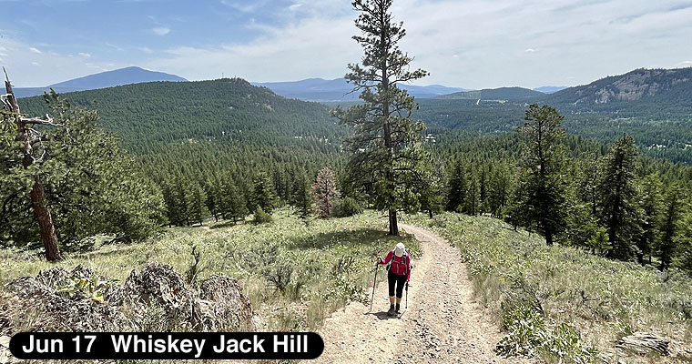 Whiskey Jack Hill