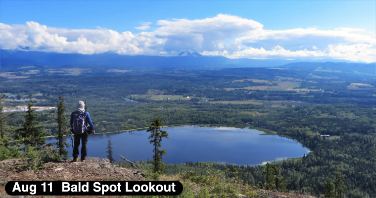 Bald Spot Lookout