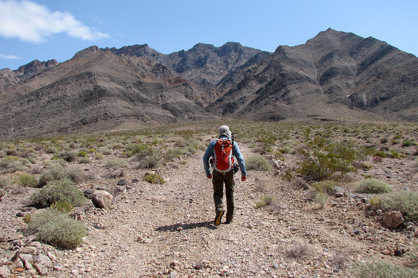 Pahrump Peak