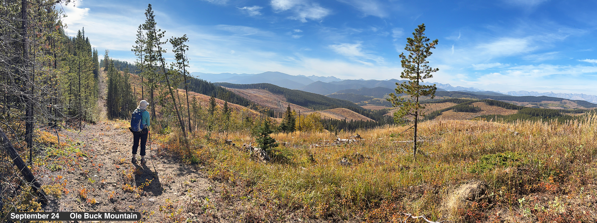 Ole Buck Mountain