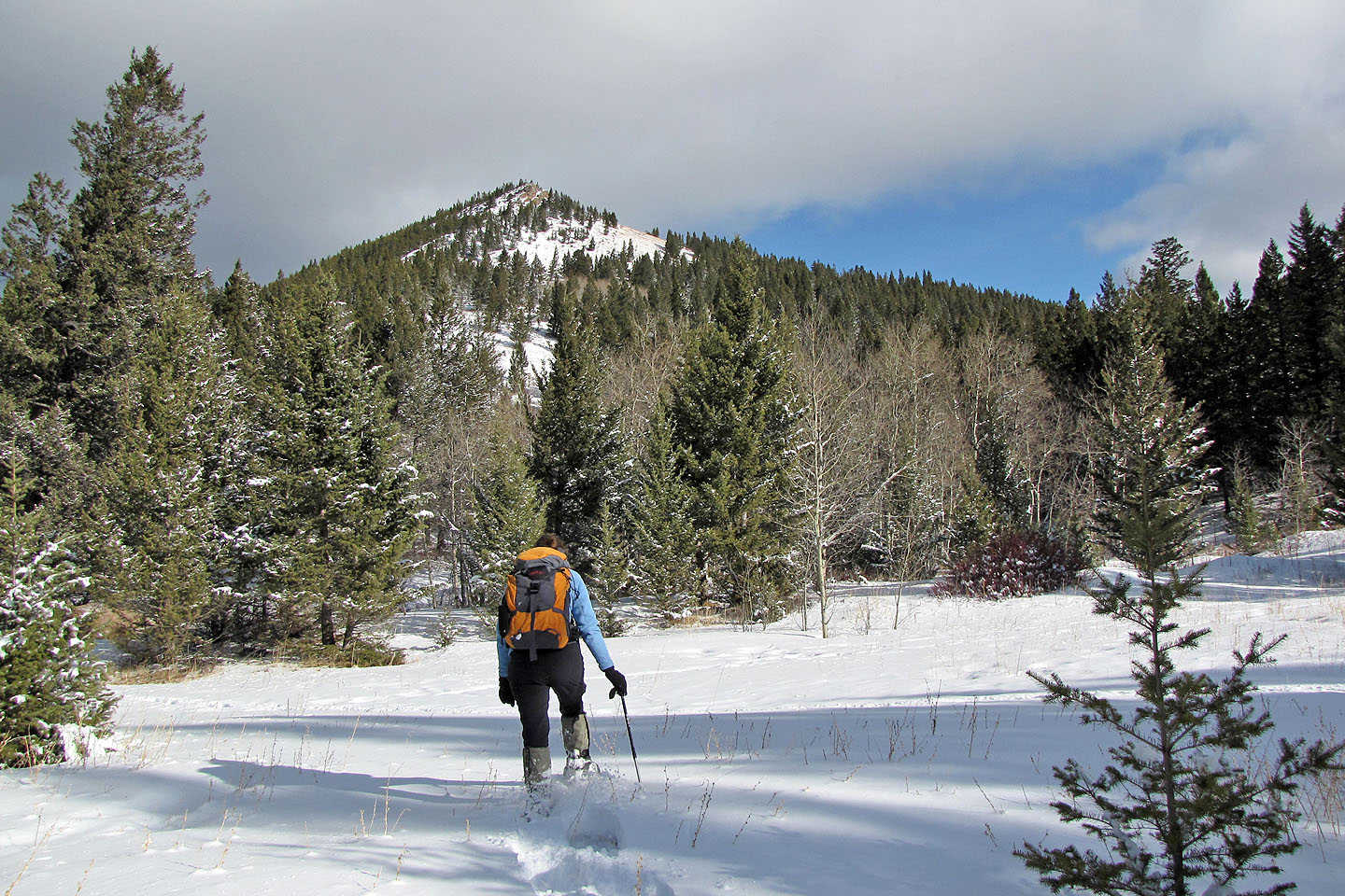 Saskatoon Mountain