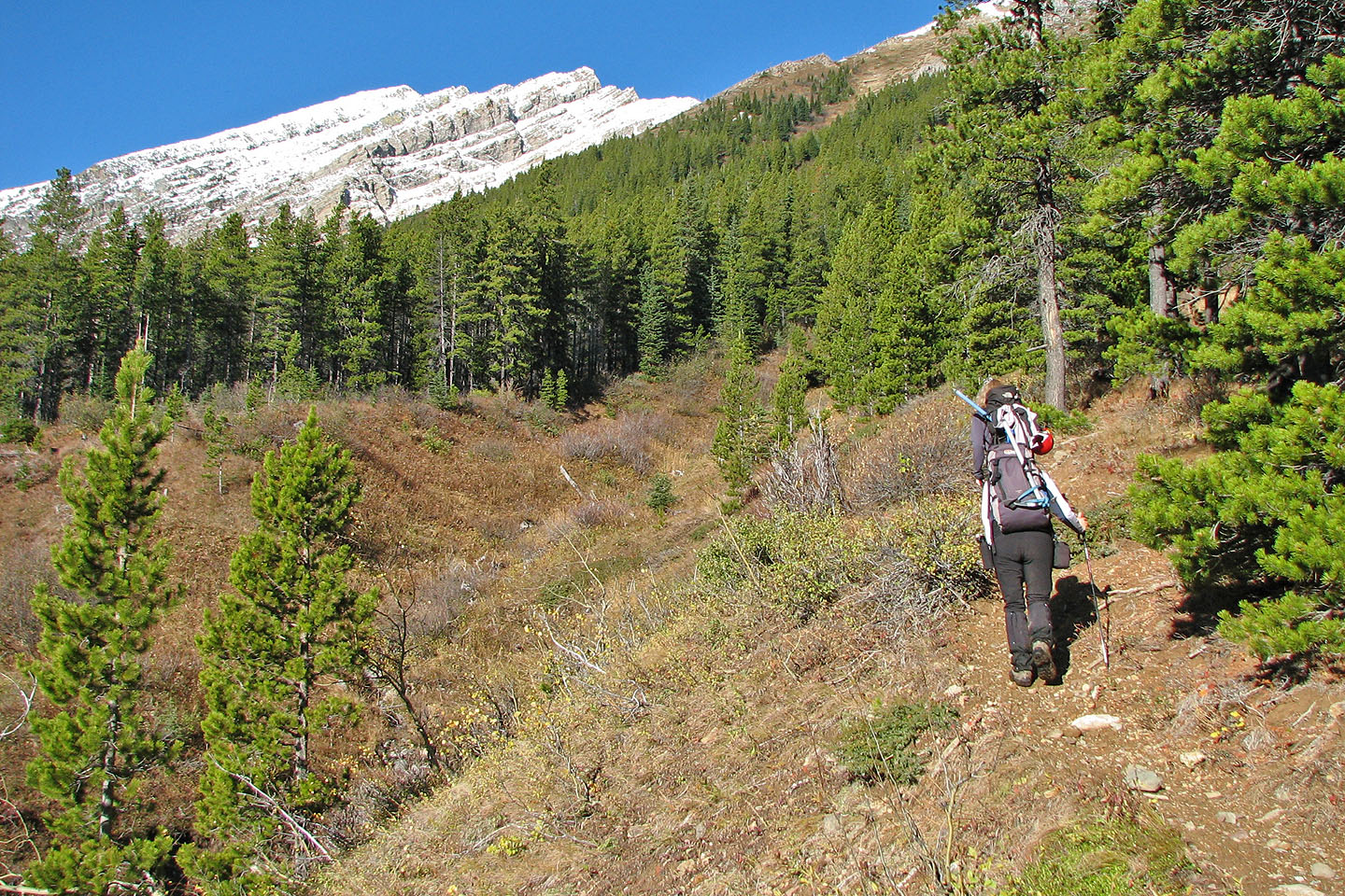 Castle peak ford #6