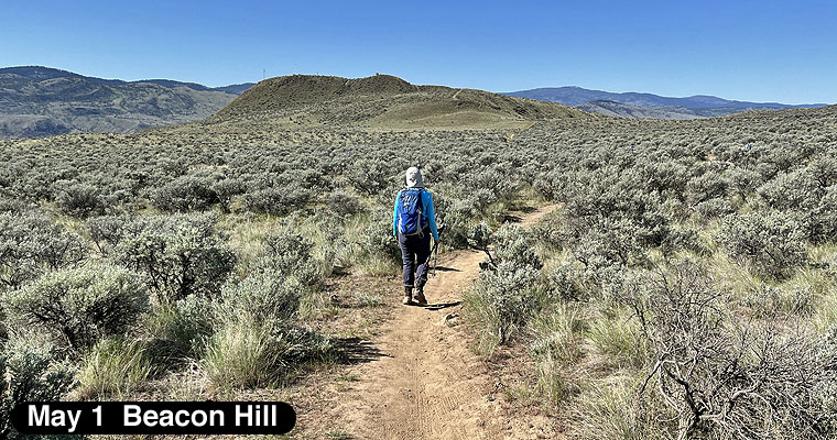 Beacon Hill