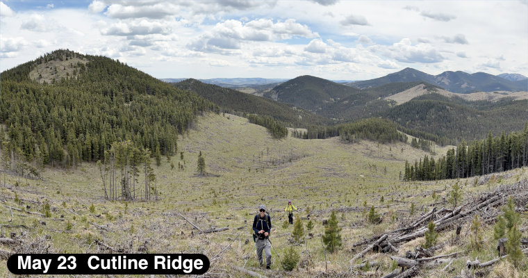 Cutline Ridge