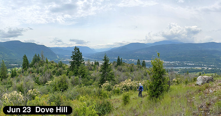 Dove Hill