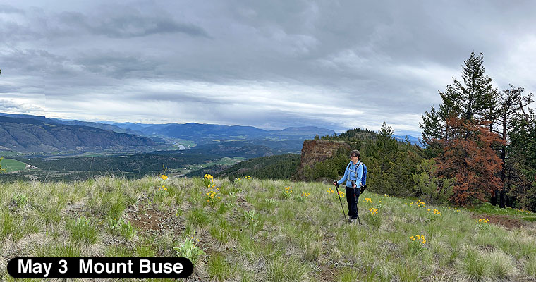 Mount Buse