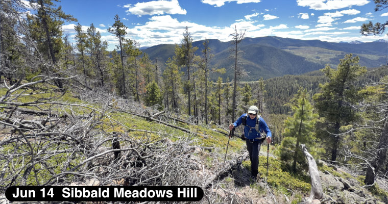 Sibbald Meadow Hill
