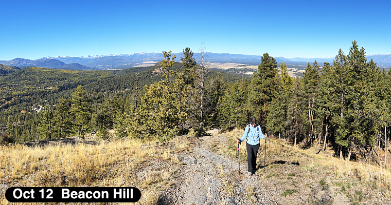 Beacon Hill