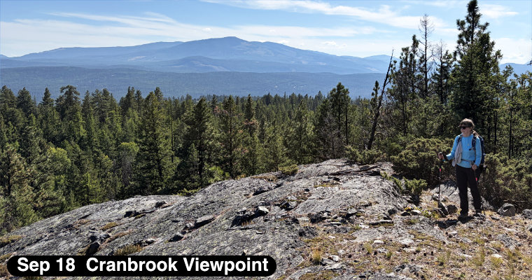 Cranbrook Viewpoint