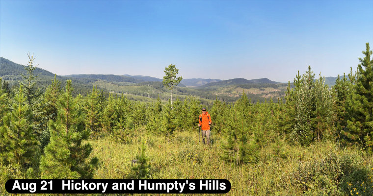 Hickory and Humpty's