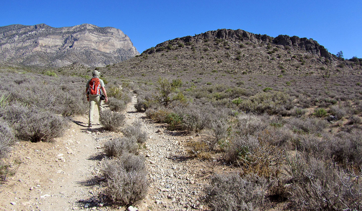 Hogback Ridge